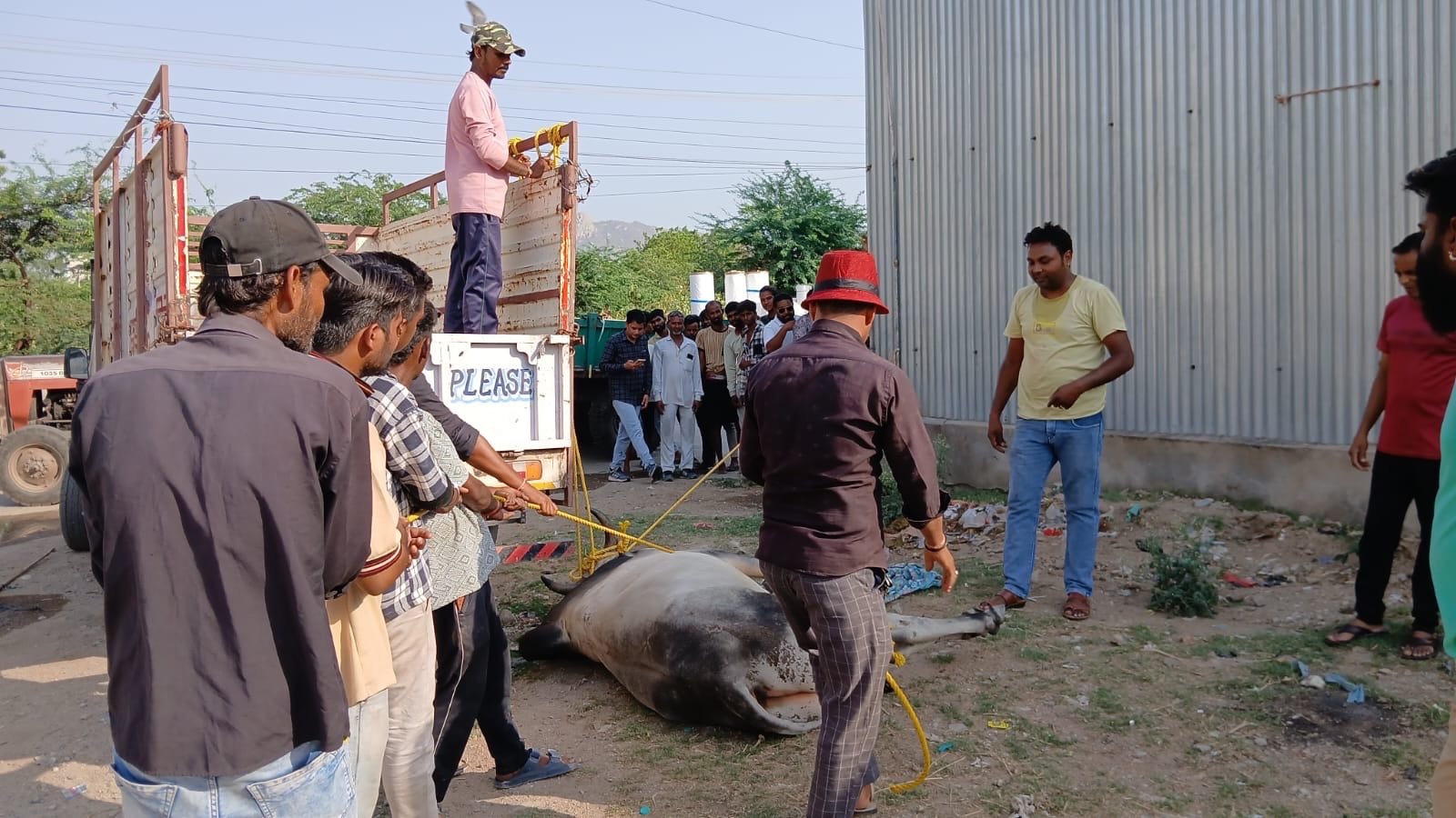 6b350936-5a3f-4c24-92a0-c788ca793295-1.jpg