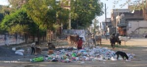 888b757a-ba5d-44e3-943f-08c150f934c5.jpg